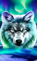 Wolf Fang - Northern Spirits