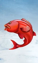 Ice Fishing