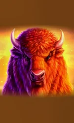 Buffalo 50